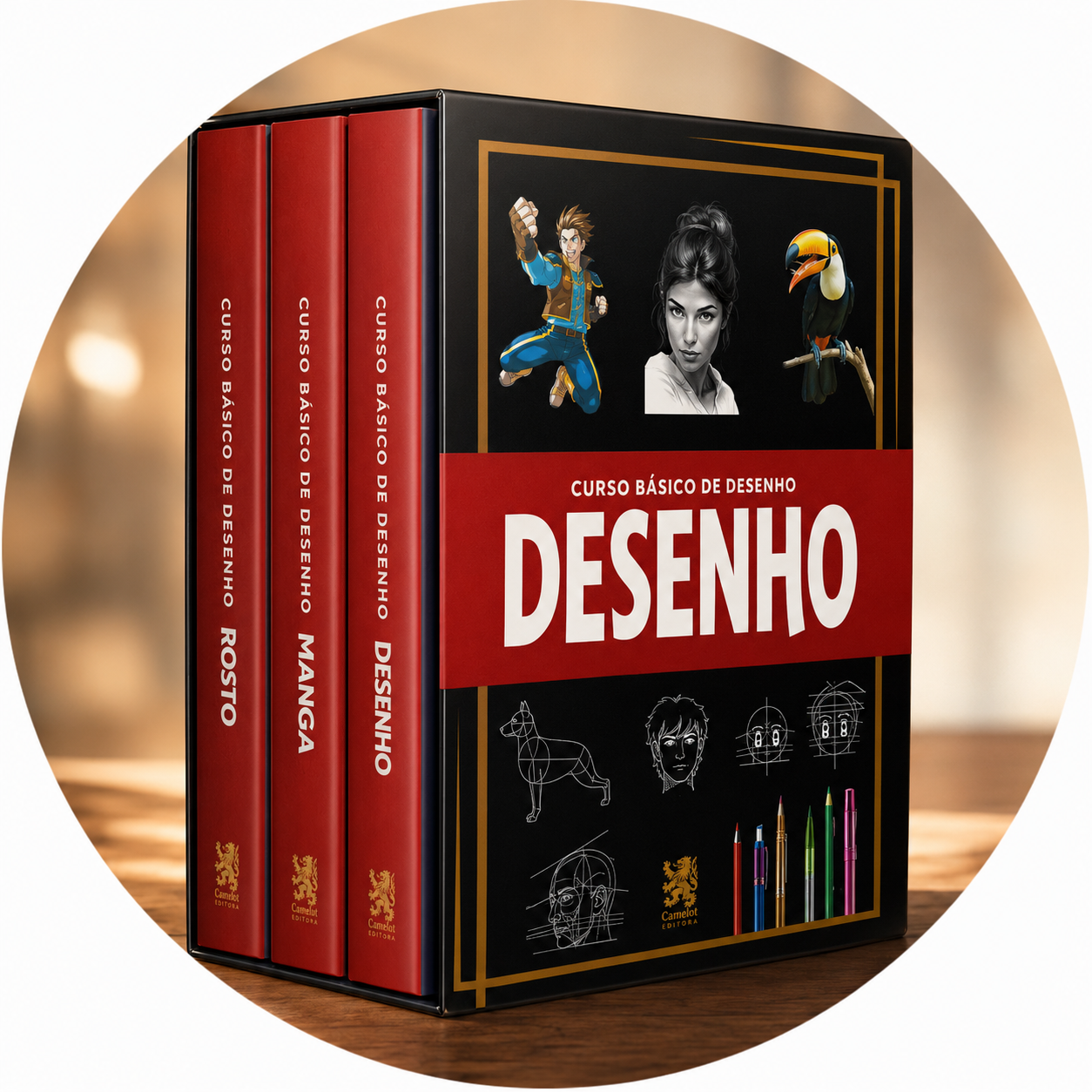 3 Livros em 1 Box
